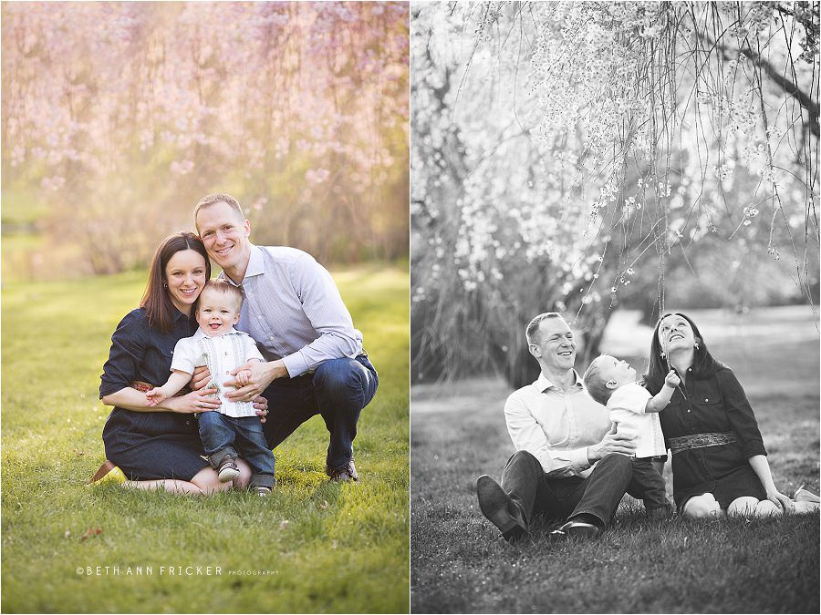 boston baby portraits