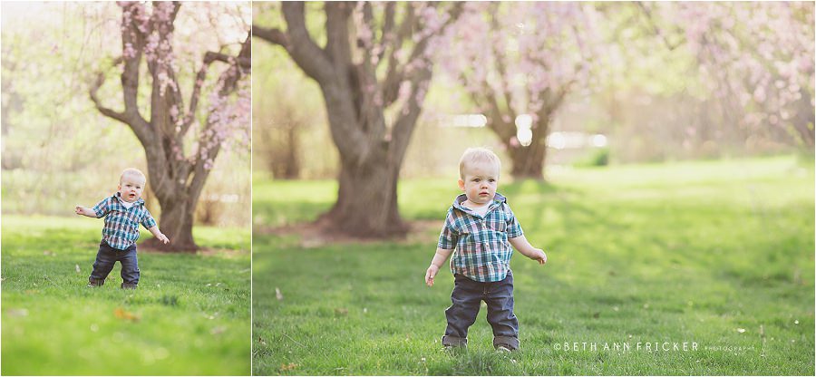 boston baby portraits