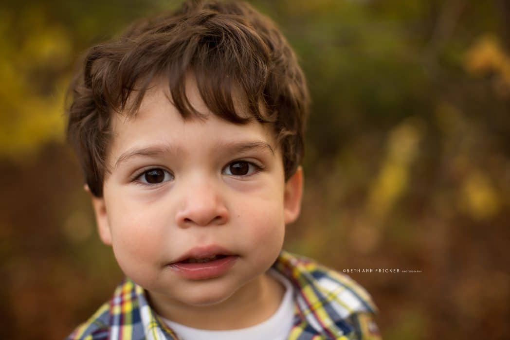 toddler boy portrait belmont ma family photographer