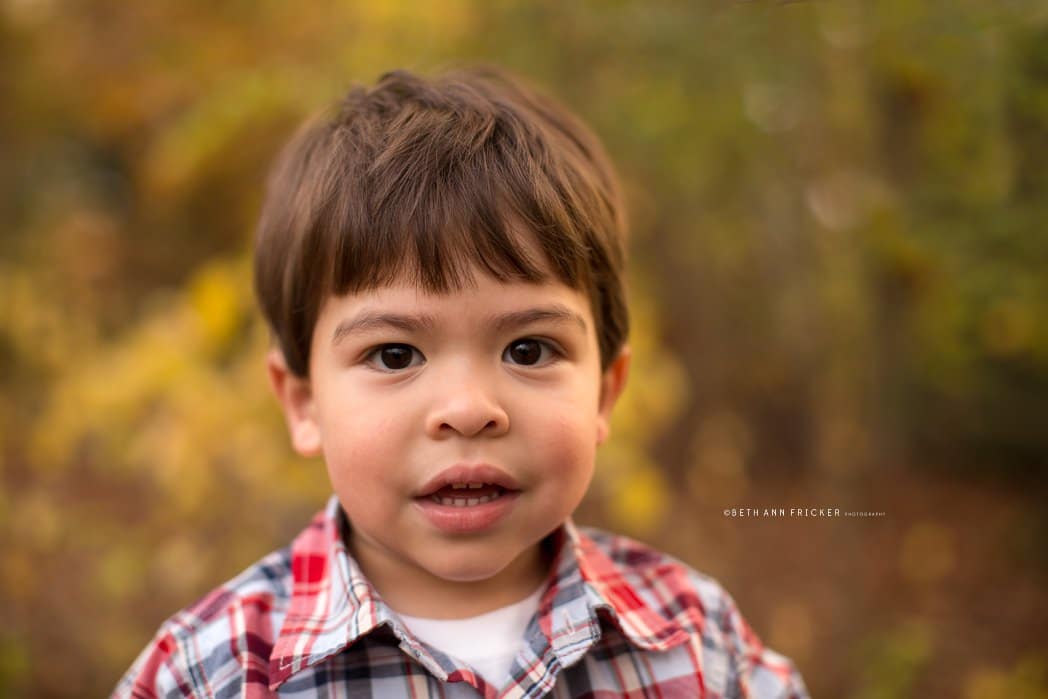 toddler boy portrait belmont ma family photographer