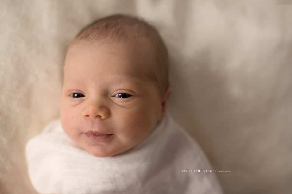 brookline ma newborn photographer