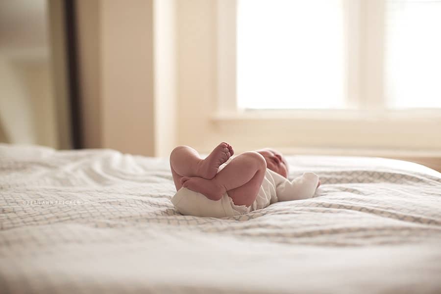 boston newborn photographer