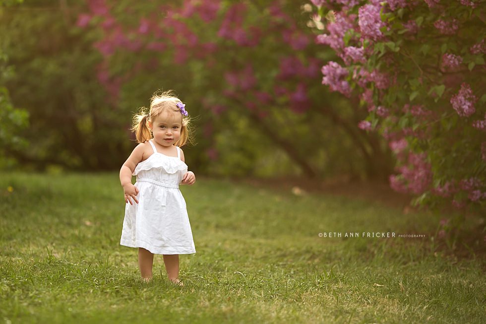 toddler girl in lilacs boston family photographer spring photos_0001