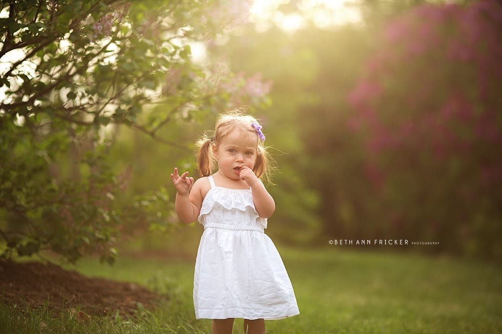 toddler girl in lilacs boston family photographer spring photos_0001