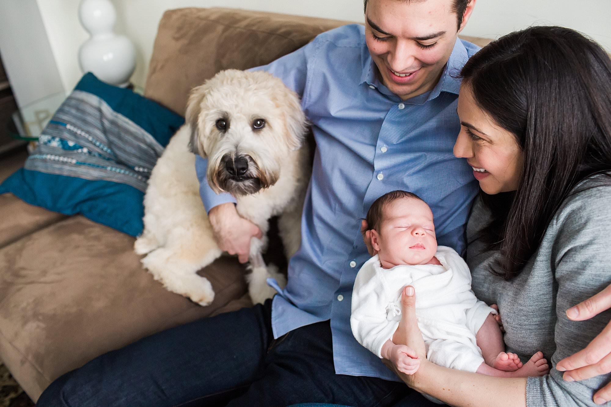parents sitting with dog and baby boston newborn photographer