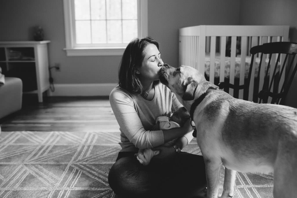dog kissing mom holding baby North Shore Newborn portraits