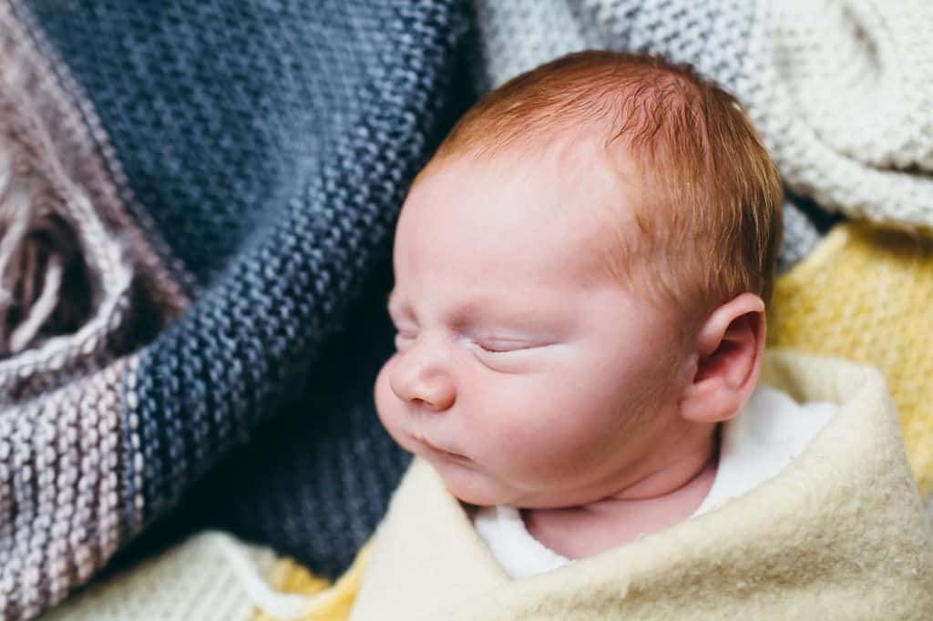 baby portrait North Shore Newborn portraits
