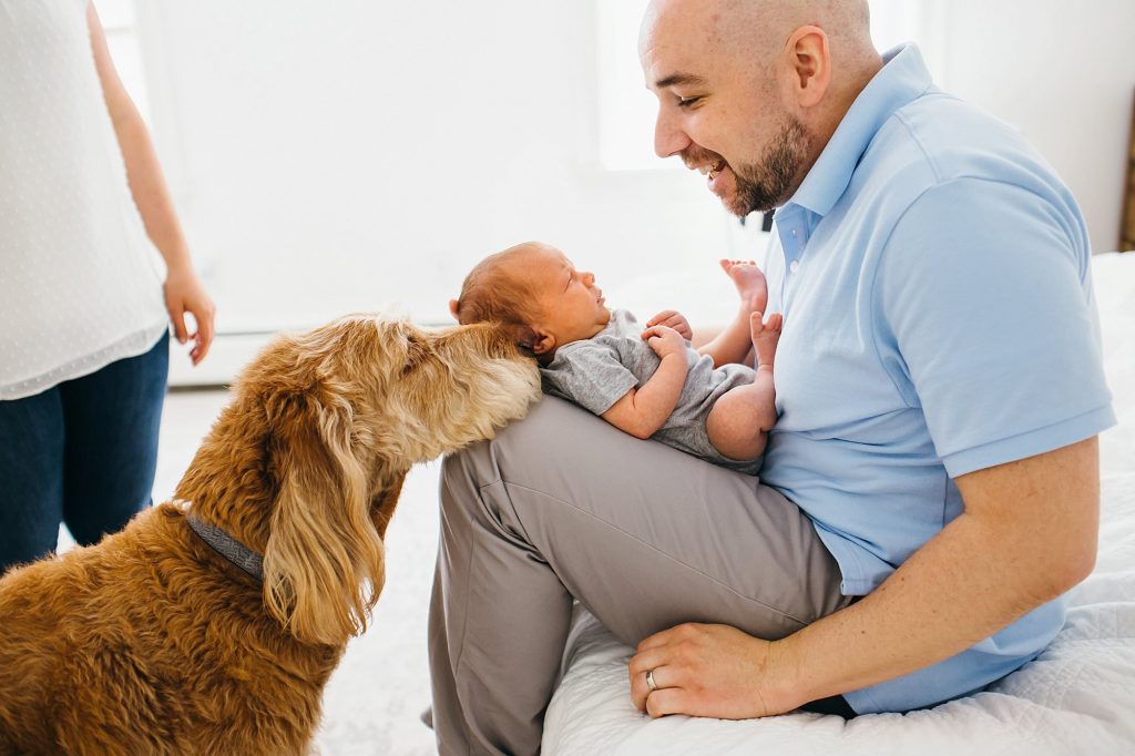 dog kissing baby Newburyport Newborn Photographer