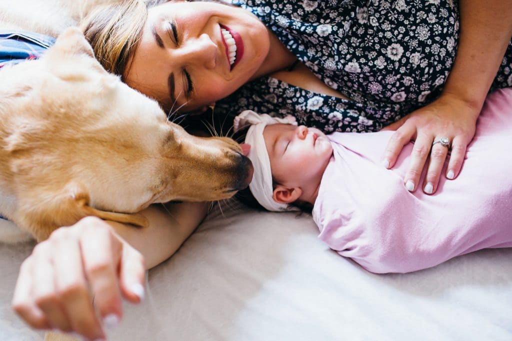 mom laying on bed with newborn and dog south shore newborn photographer