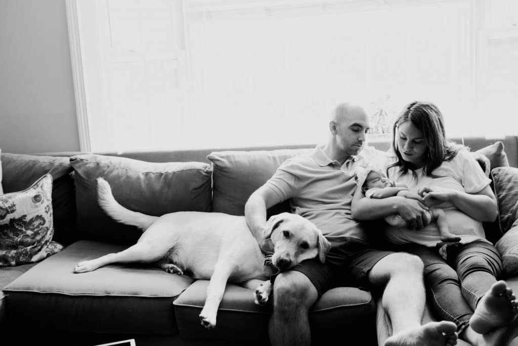 parents snugging on couch with dog and baby south shore newborn photographer
