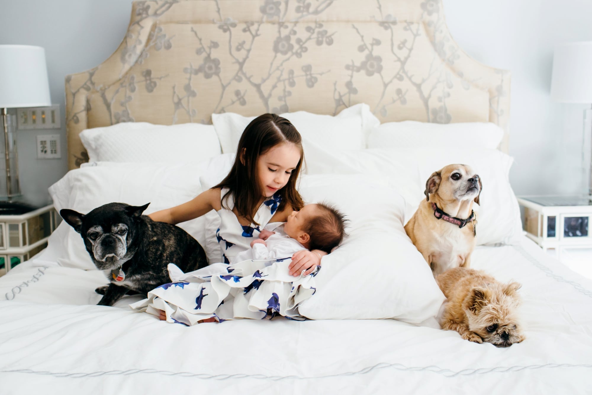 Big sister holding little sister with dogs Weston newborn photographer