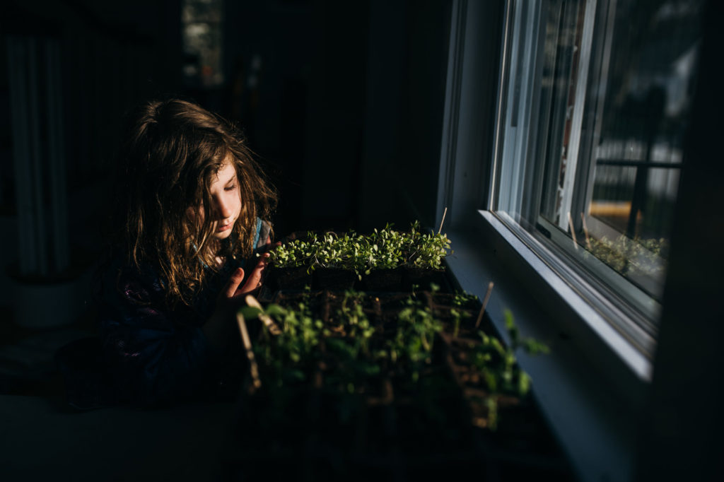girl looking at seedlings growing by the window